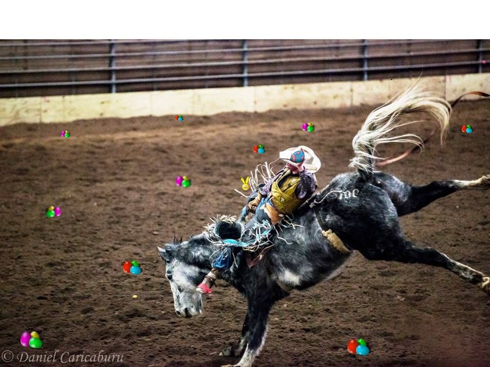 Brash Winter Rodeo and KIDS EGG HUNT!