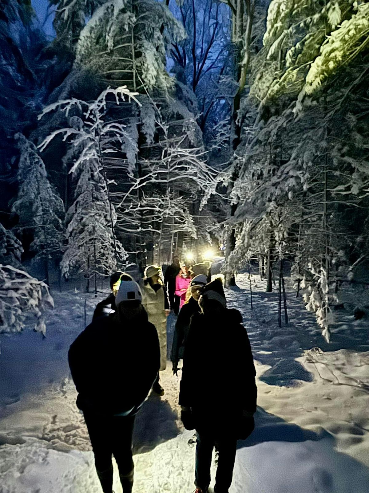 MiGirl Snowshoe - Night Adventure!