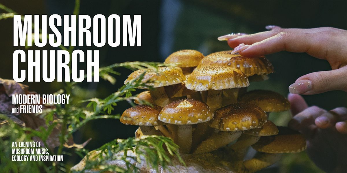 Mushroom Church - Oakland