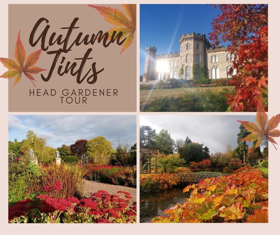 Head Gardener's Autumn Tints Guided Tour 