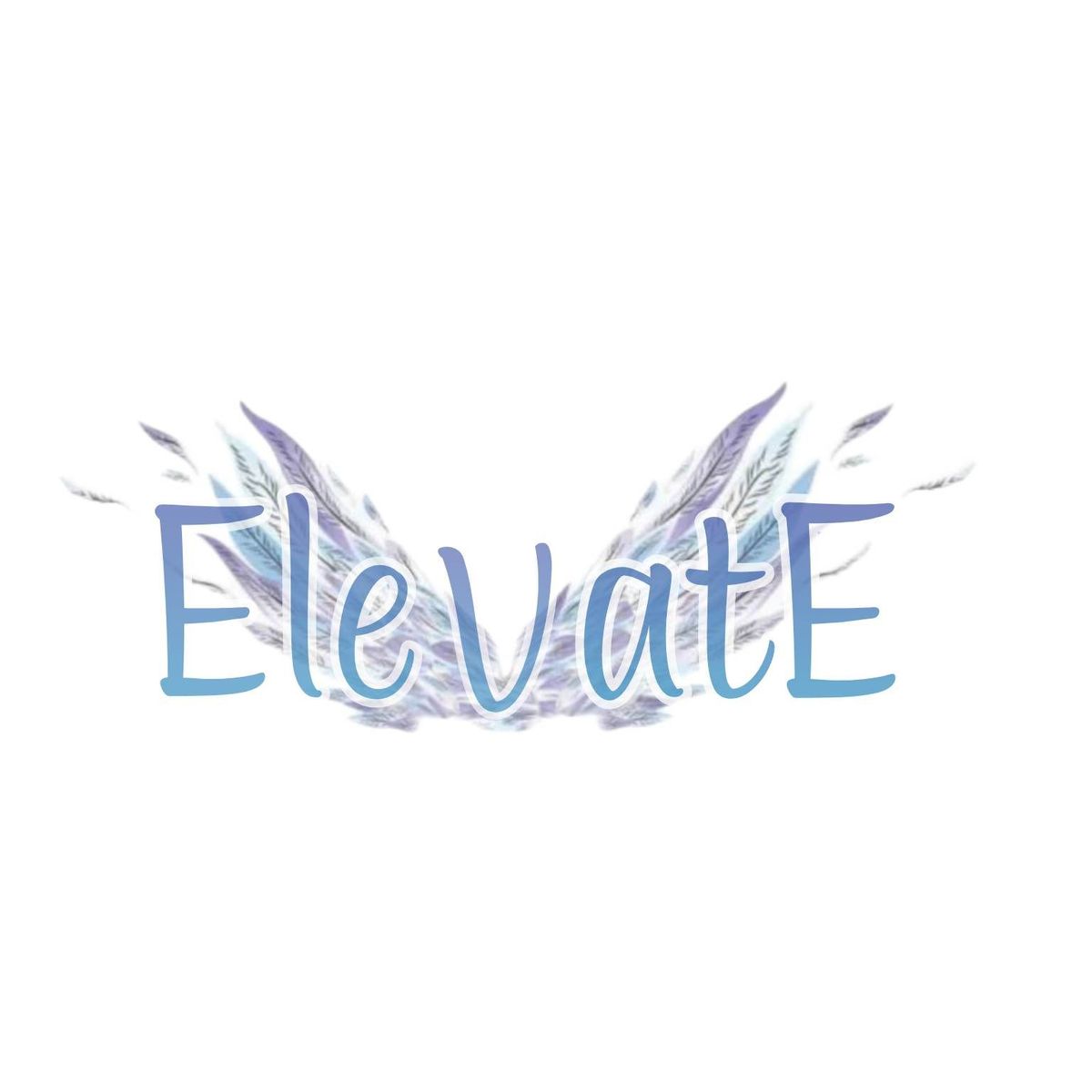 Elevate - Silks Showcase