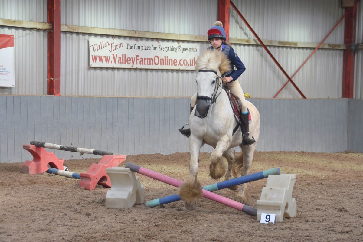 Fun Clear Round Jumping