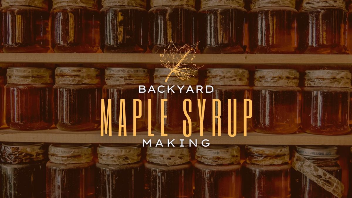 Backyard Maple Sugaring