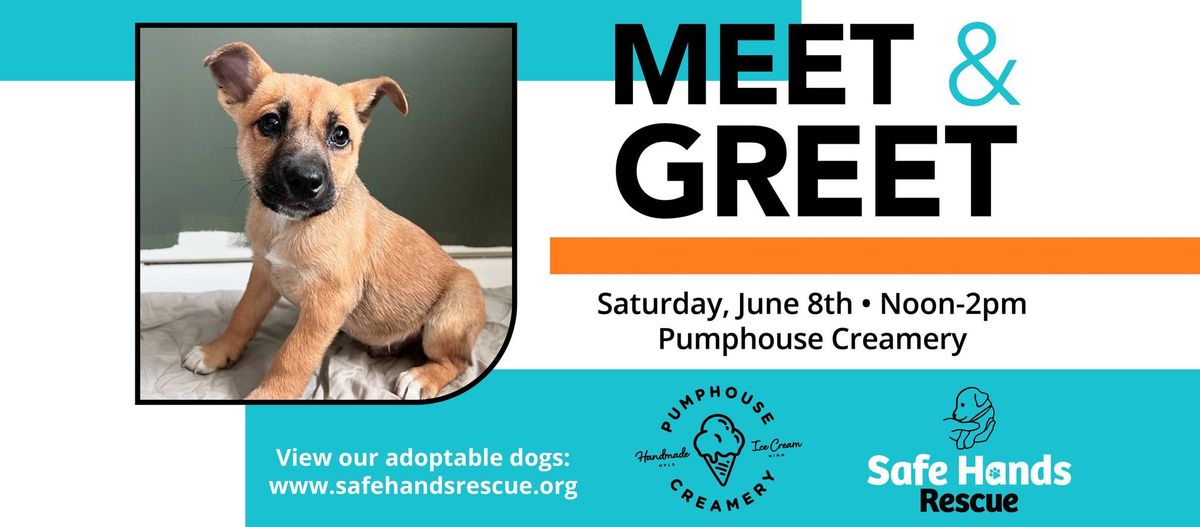 Safe Hands Rescue Meet and Greet at Pumphouse Creamery