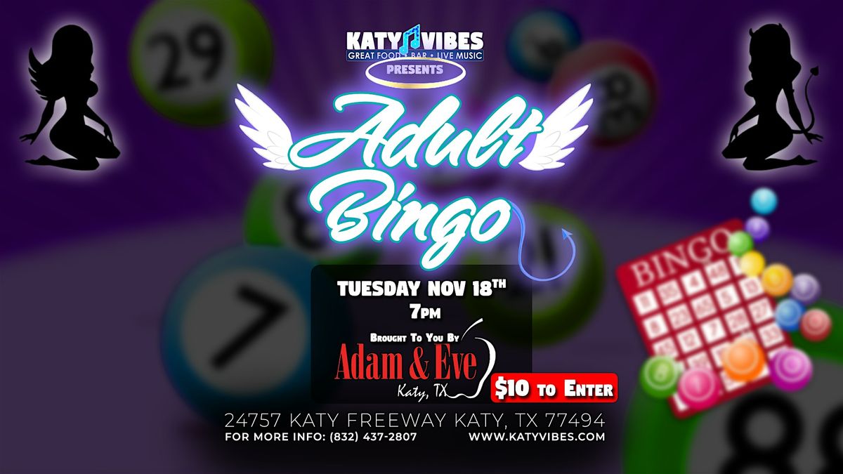 Adult Bingo at Katy Vibes!