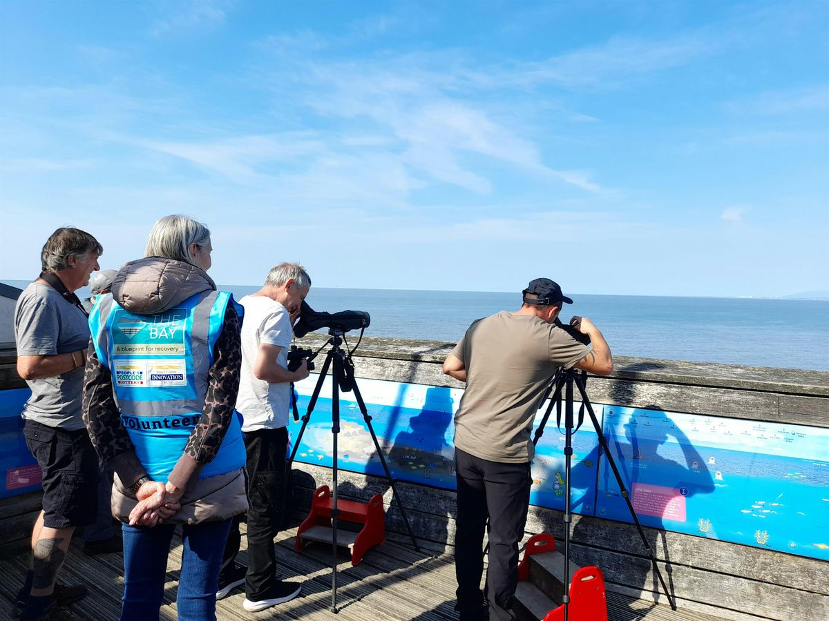 Wyre Sea Watch
