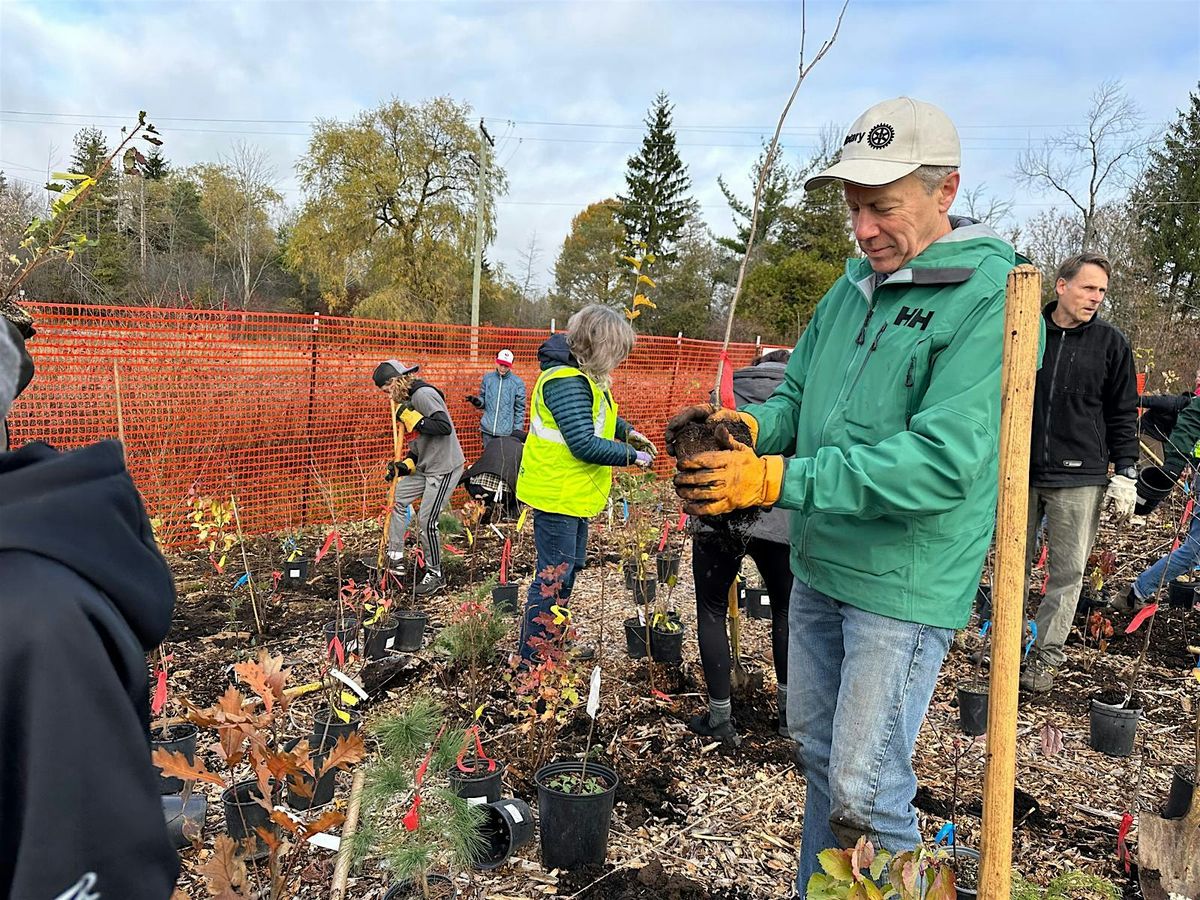 Mini Forest 2.0 Tree Planting  @ Fields of Uxbridge