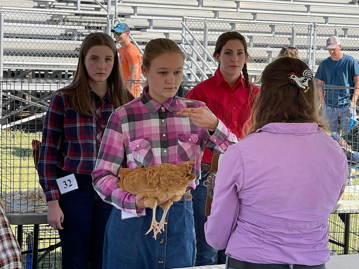 2025 SC State Fair 4-H Poultry Showmanship