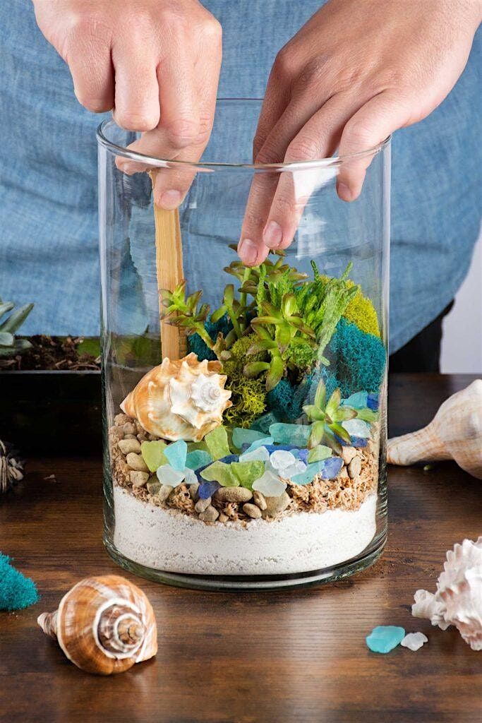 Succulent Beach Terrarium Workshop