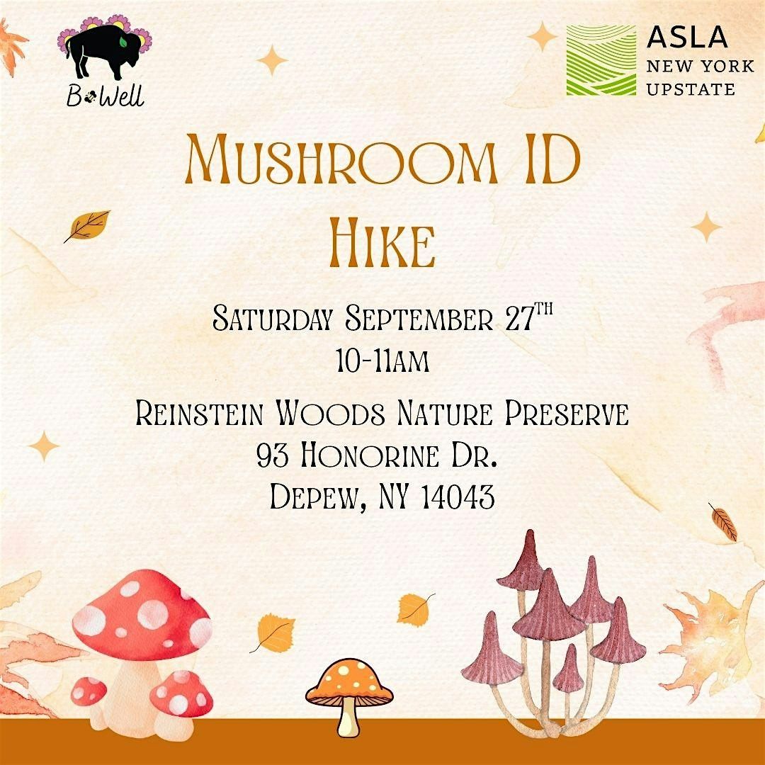 Mushroom Identification Hike at Reinstein Woods