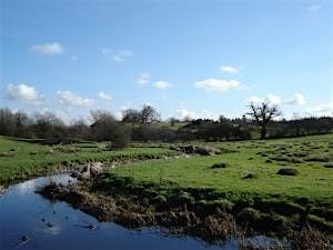 Reserves Discovery Walk at Croft Pasture - Members only