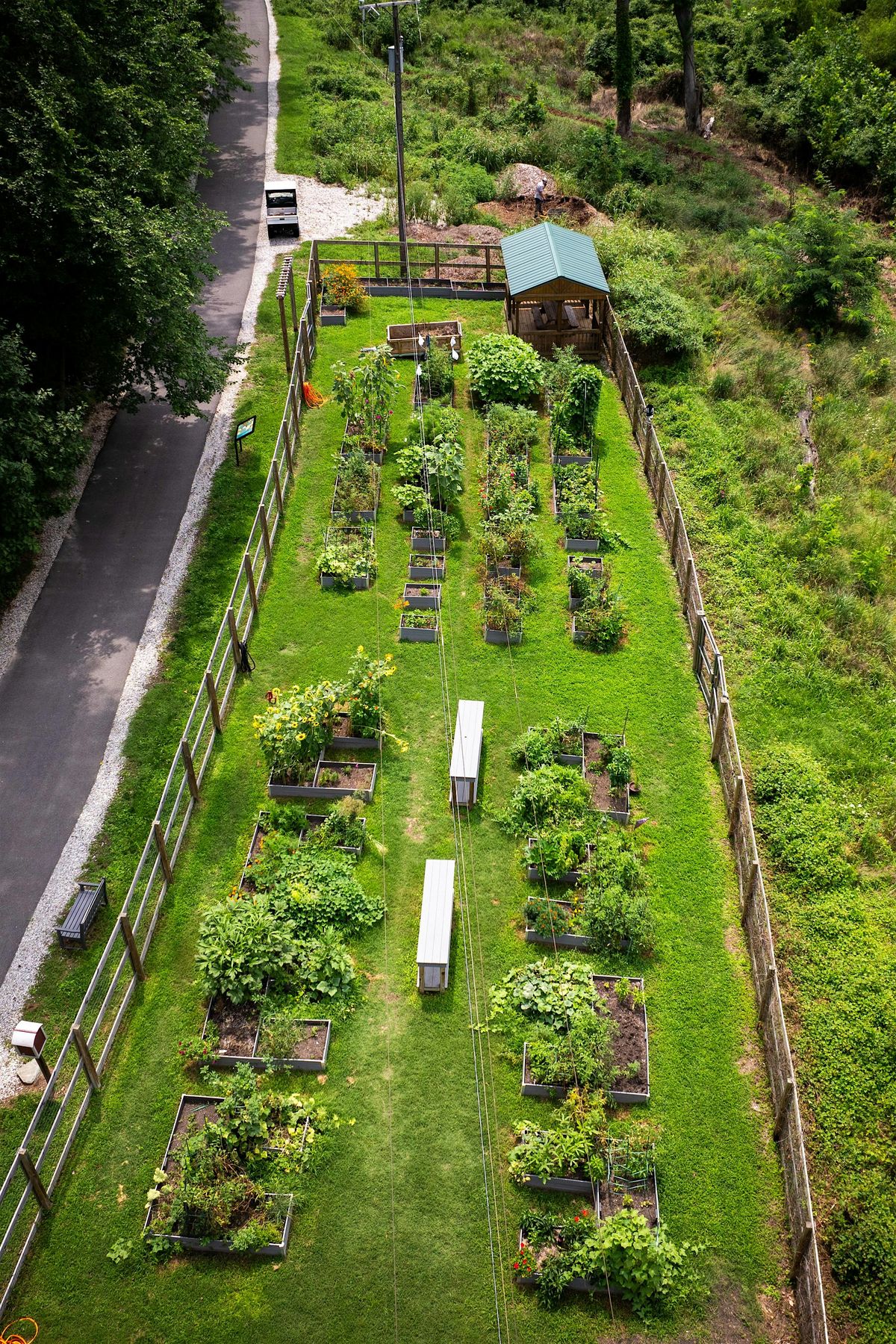 Volunteer in the Eco-Corridor - October 10