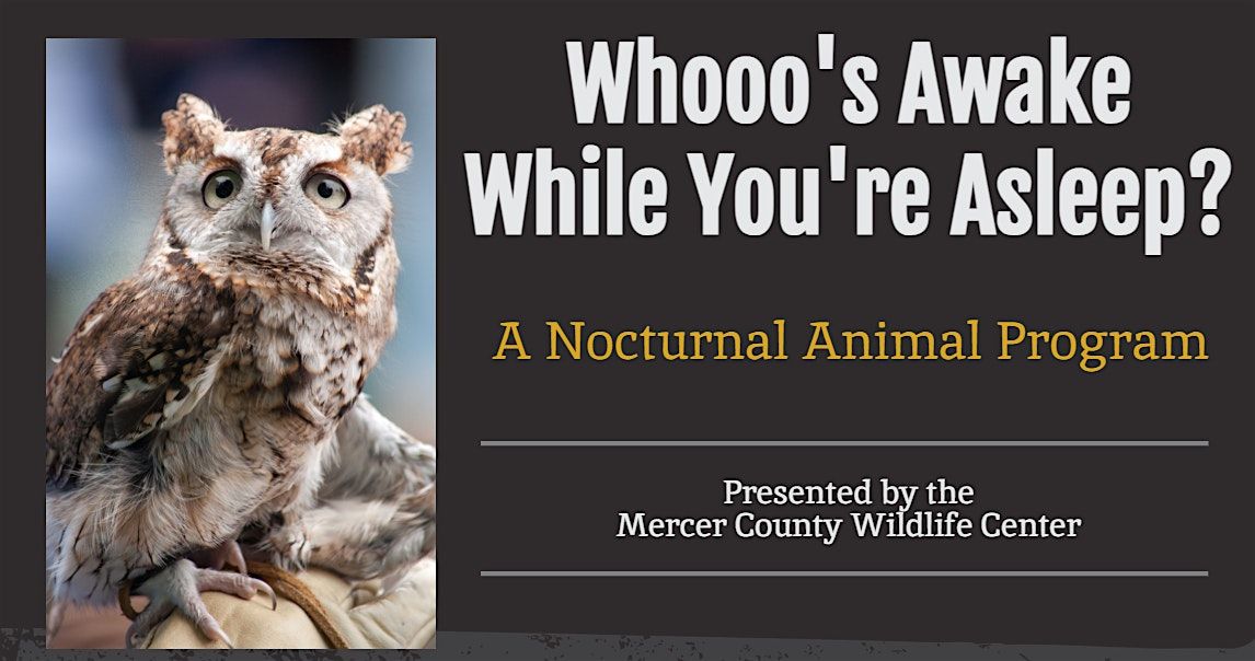 Whooo's Awake While You're Asleep?