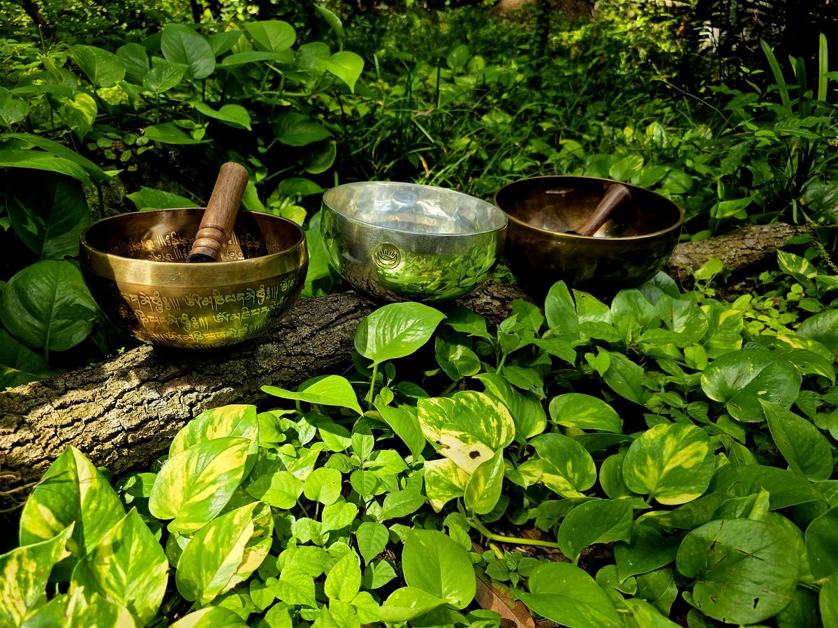 Wellness Wednesday Sound Bath Meditation with Scarlet Button