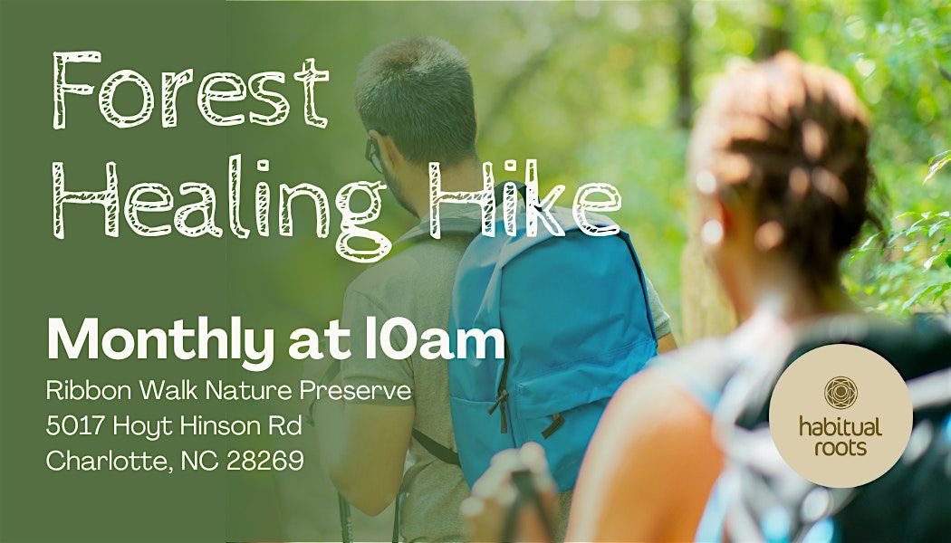 Forest Healing Hike