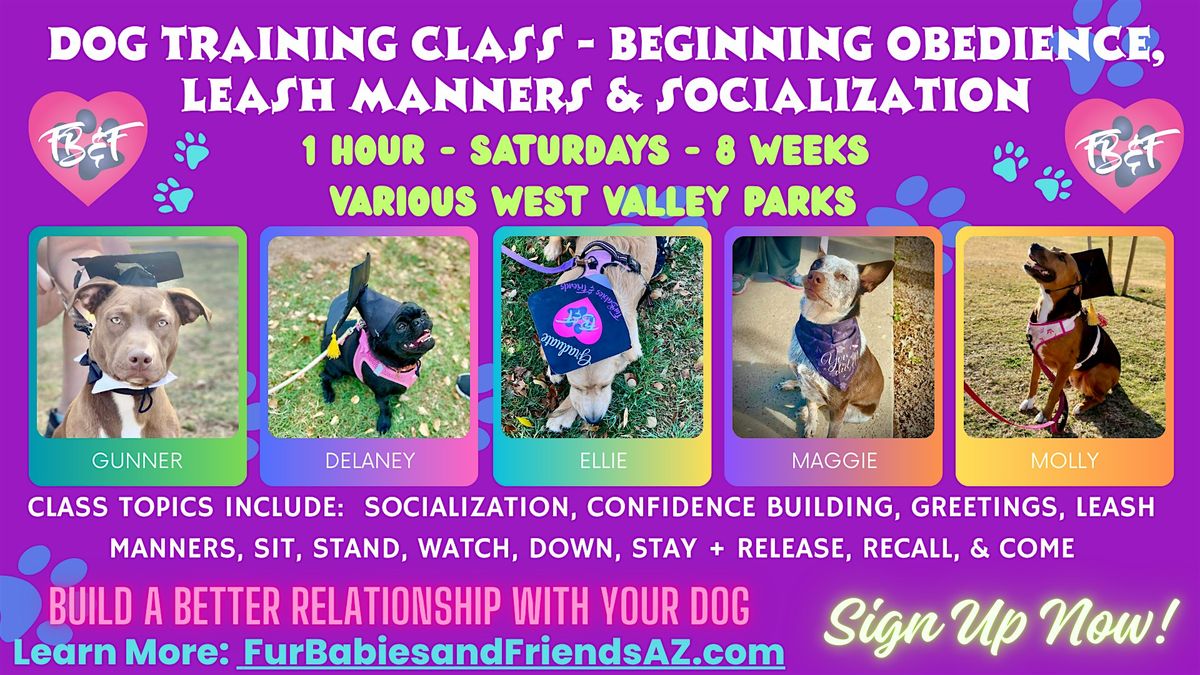 Level 1 - Dog Training Beginner Obedience & Leash Manners Group Class