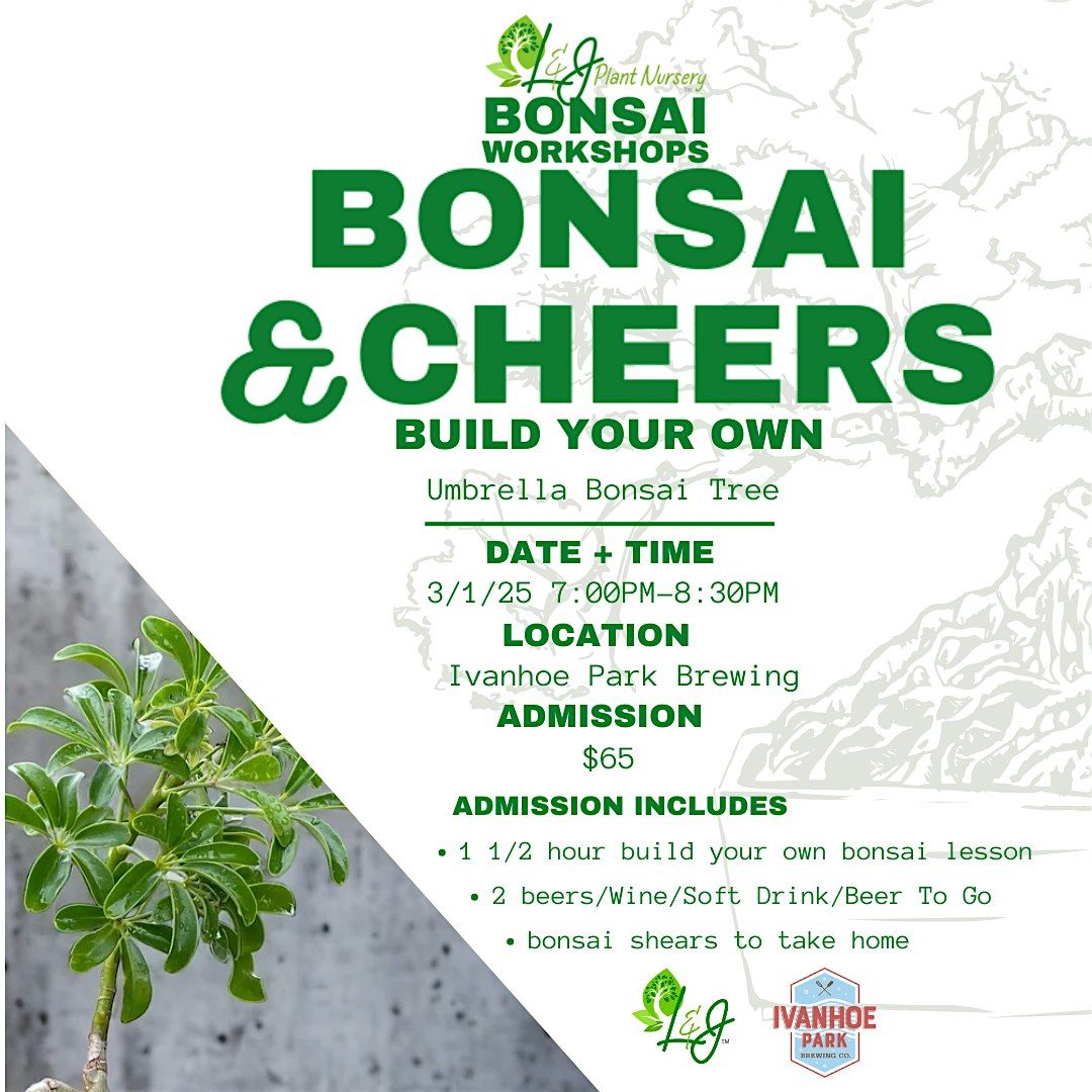 Bonsai & Cheers - Ivanhoe Park Brewing - L&J Nursery - Umbrella Tree