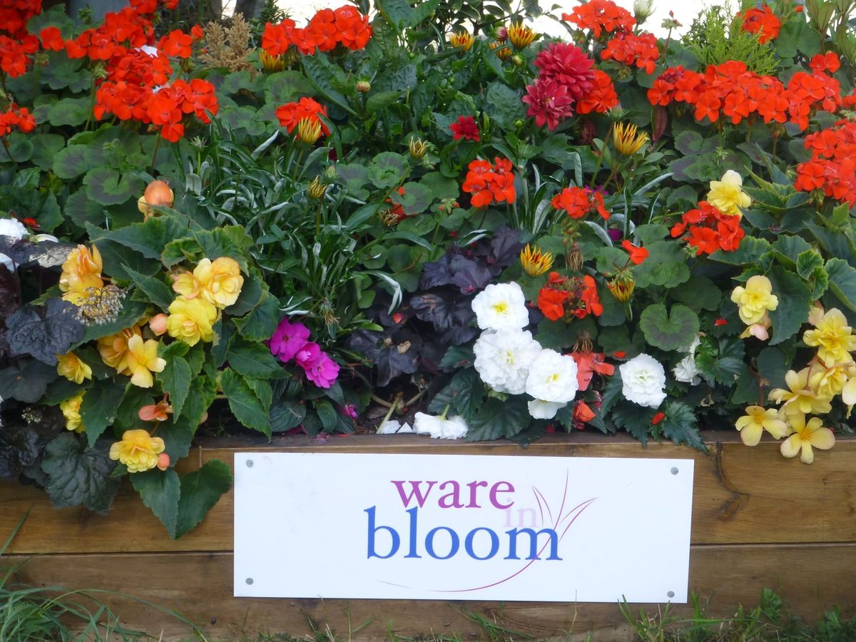 Ware in Bloom Open Garden 2025