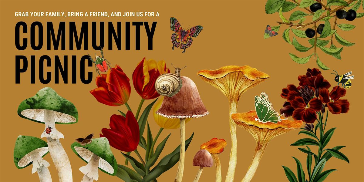 Community Picnic in the Park: Moving to KC Edition