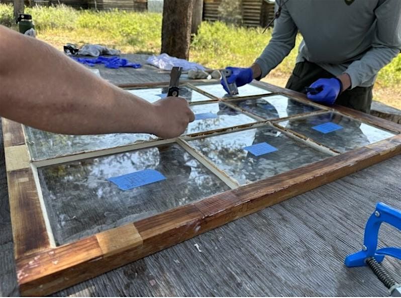 Basic Wood Window Preservation and Repair