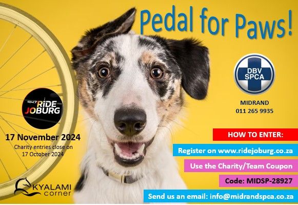 Pedal 4 Paws - 94.7 Cycle Challenge 