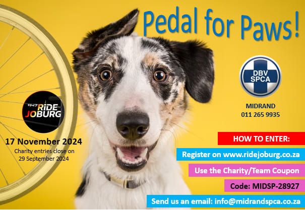 Pedal 4 Paws - 94.7 Cycle Challenge 