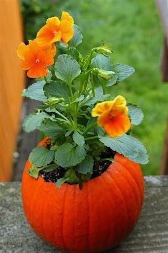Create Your Own Flower Pot Pumpkin