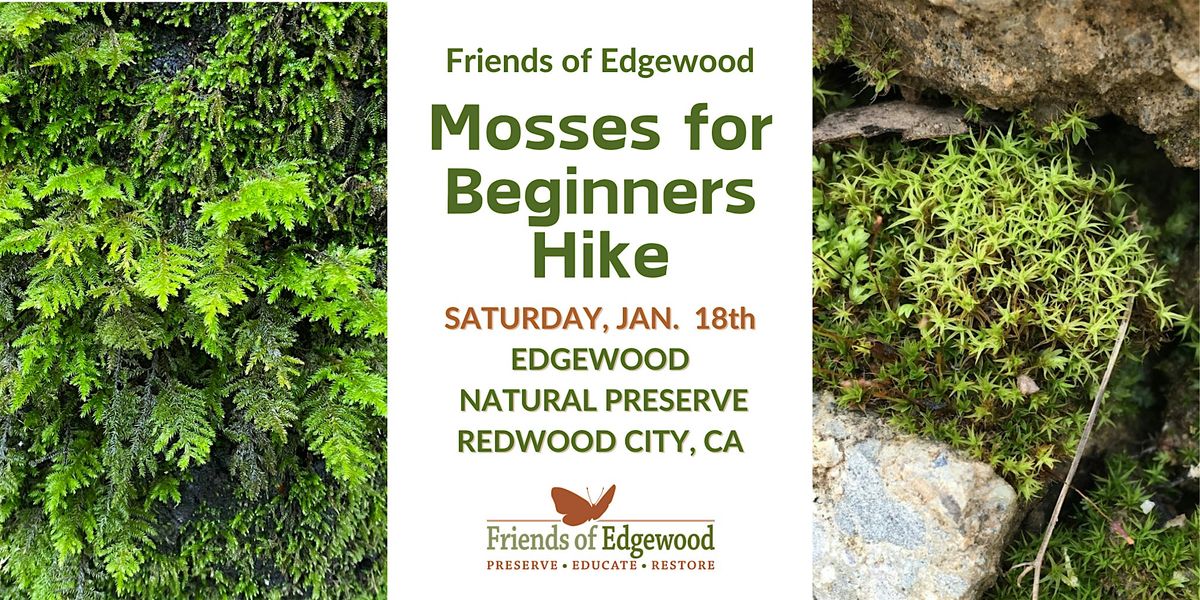 A Special Mosses for Beginners Hike at Edgewood Park & Natural Preserve