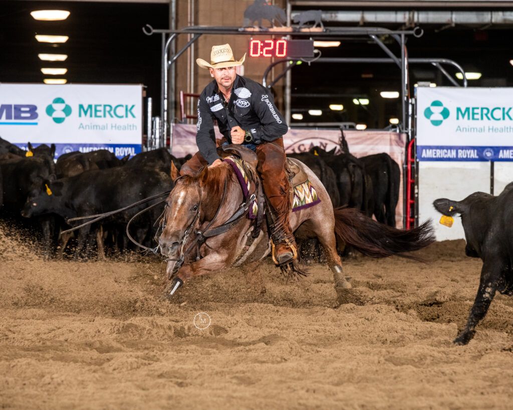 Hilary Watson Memorial Cutting Horse Show