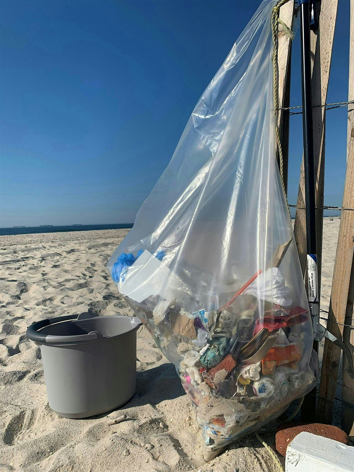 Beach Cleanup (Adults & Teens, Ages 12+)