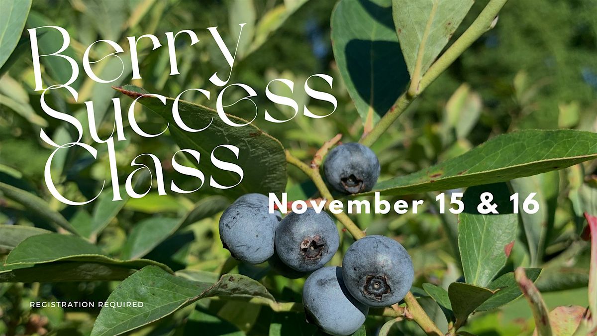 Berry Success: Learn to Grow Blueberries Like a Pro!