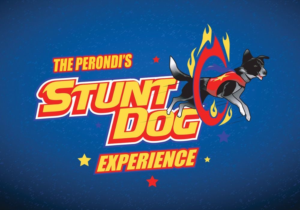 Stunt Dog Experience