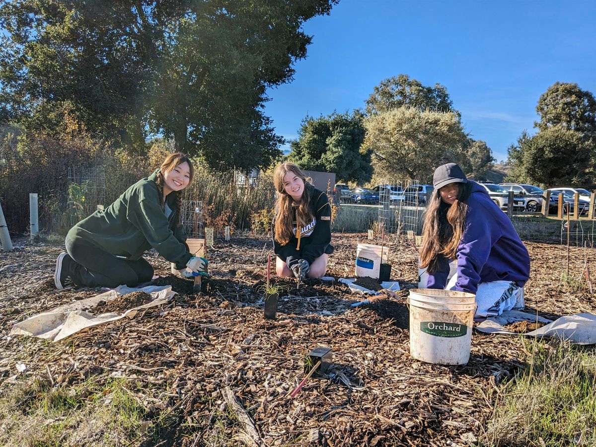 Volunteer Outdoors in Palo Alto at Pearson-Arastradero Preserve