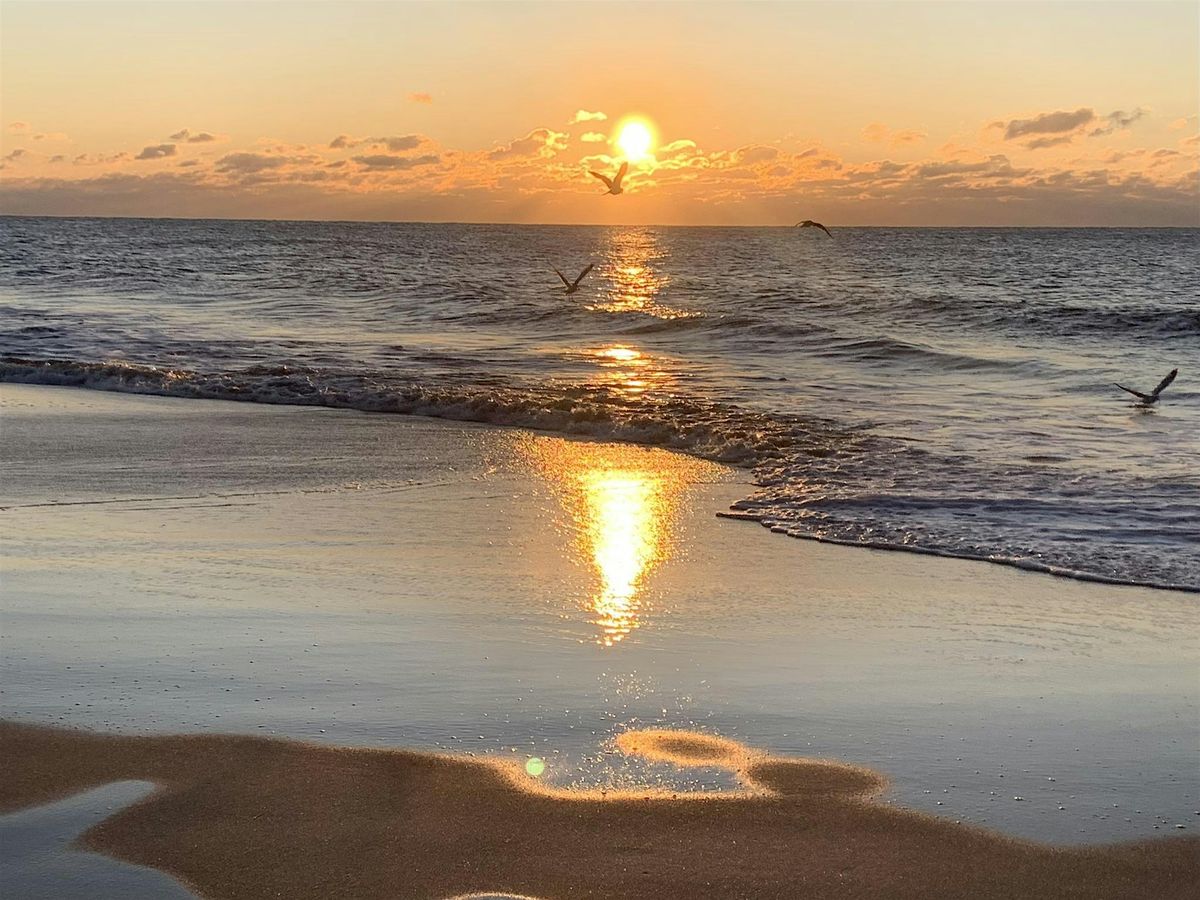 Waves of Wisdom