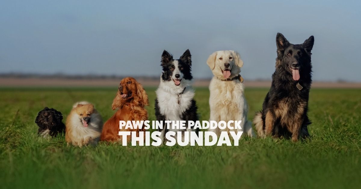 Paws In The Paddock