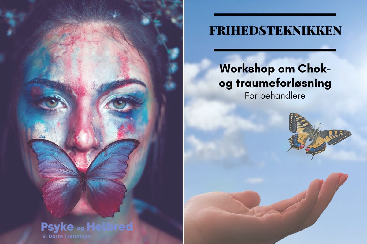 Workshop om Chok- og traumeforl\u00f8sning (Hinnerup)