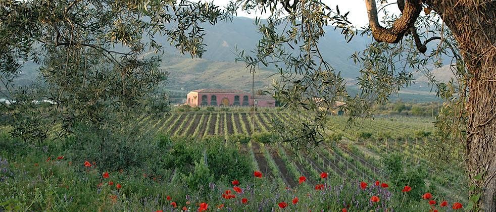 Wine Dinner with Tenuta Delle Terre Nere