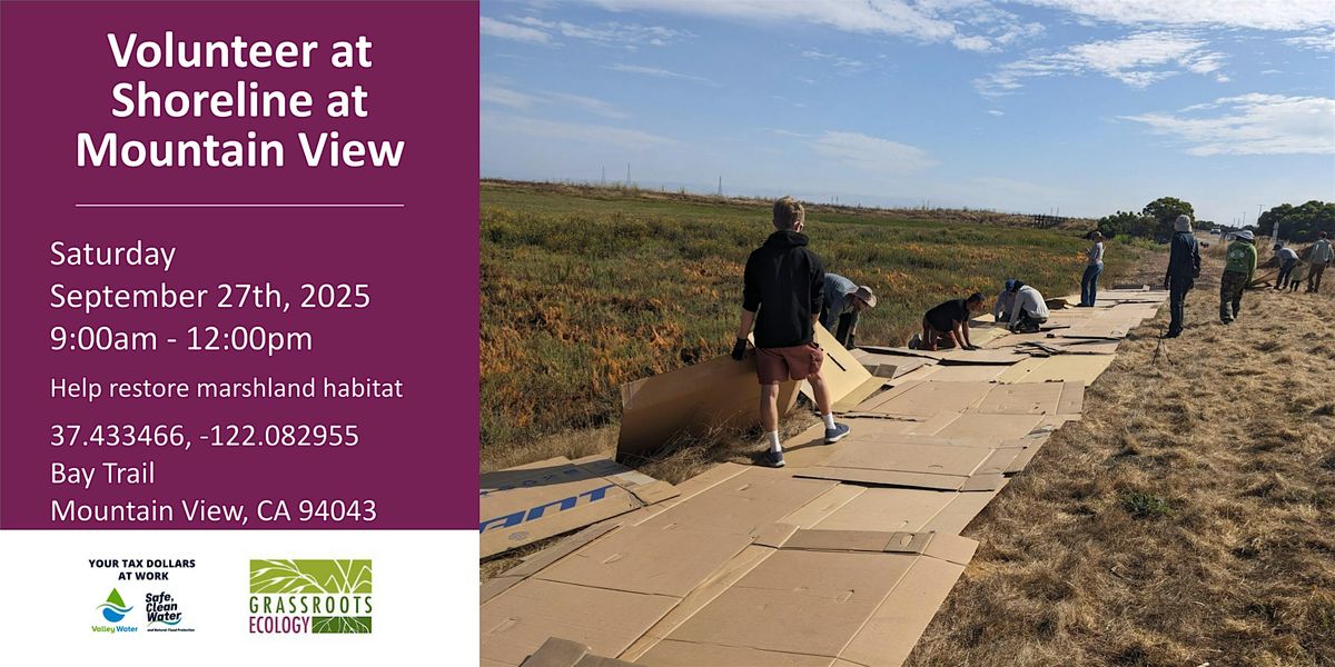 Volunteer Outdoors in Mountain View: Shoreline Marsh Habitat Restoration
