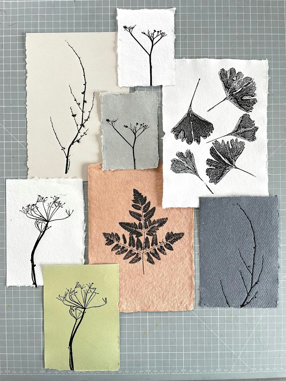 Botanical and Textural mono-printing