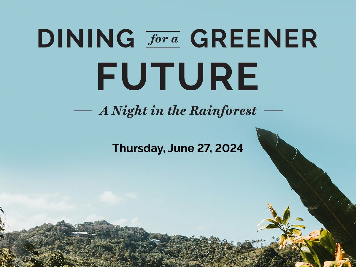 Dining for a Greener Future: A Night in the Rainforest