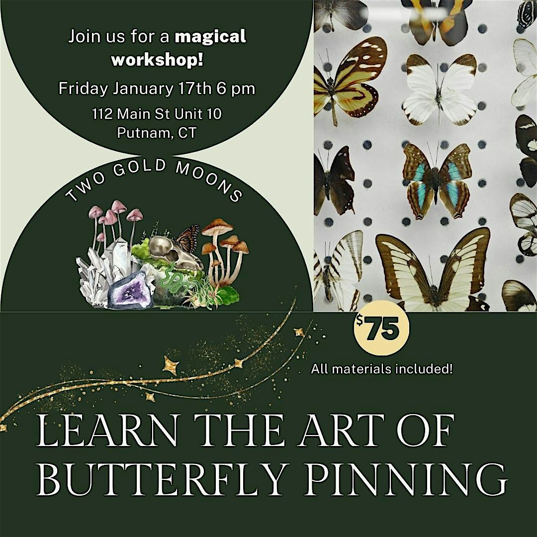 Learn how to pin a real butterfly!