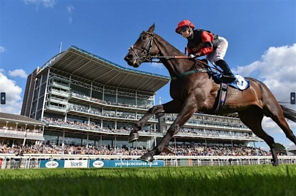 A Day at the Races with York Professionals