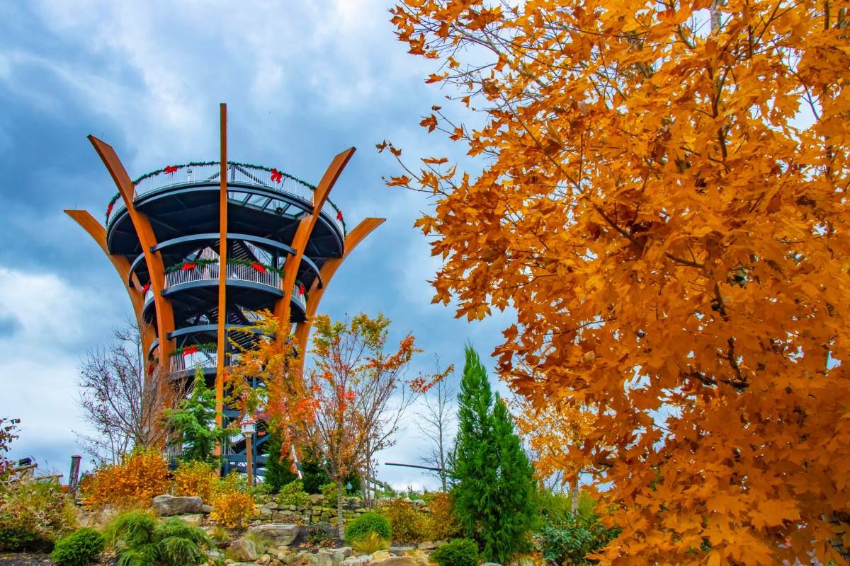 \ud83c\udf04\ud83c\udf3fAnakeesta Adventure Getaway in Gatlinburg, TN $99 Per Couple