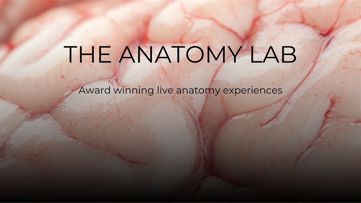 The Anatomy Lab Beginner - Manchester