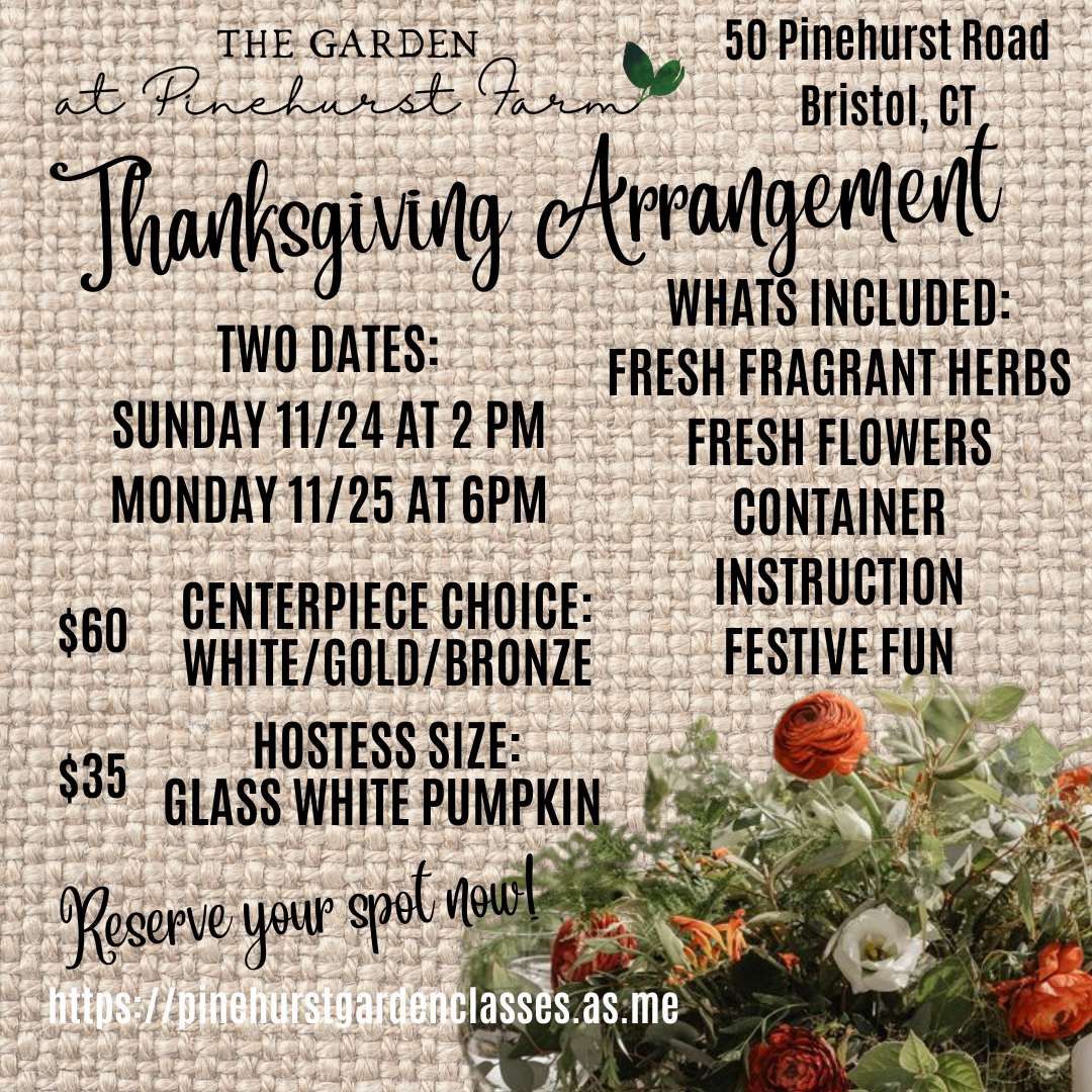 Thanksgiving Arrangement Workshop  