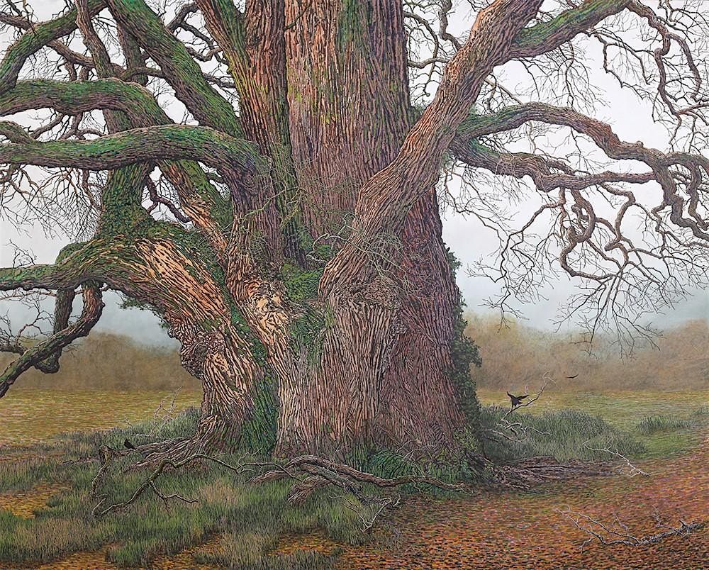 Charles Brindley | Drawing Workshop