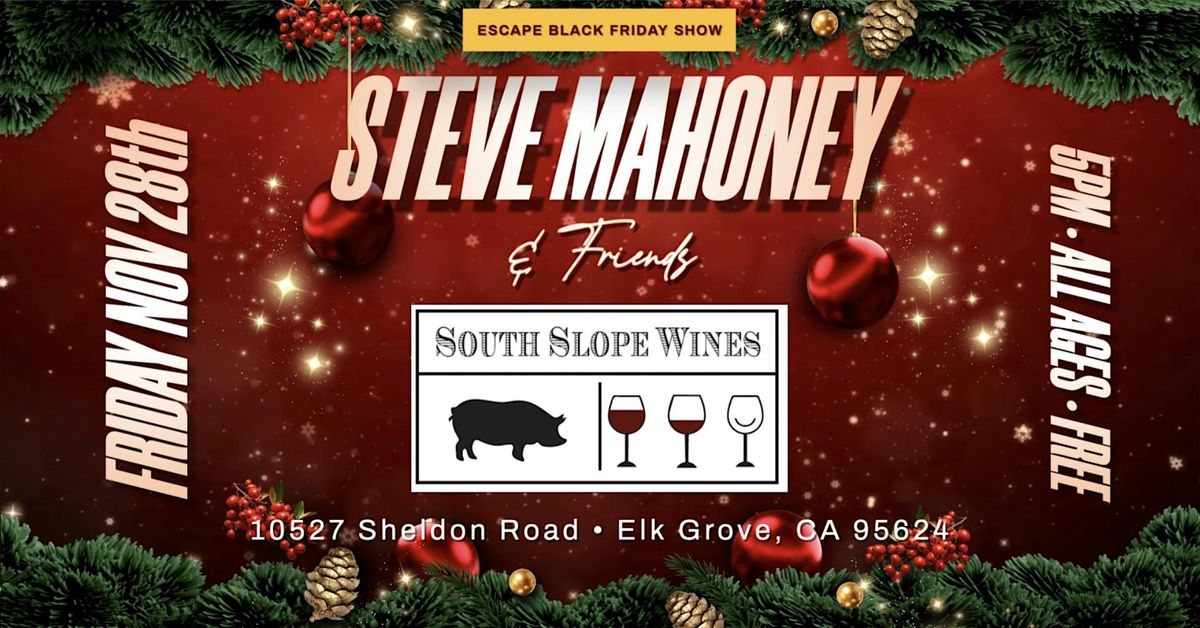 Steve Mahoney & Friends HOLIDAY JAMS