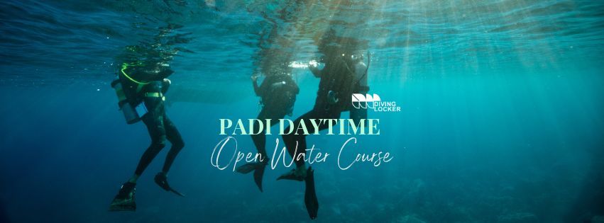 Daytime PADI Open Water Course