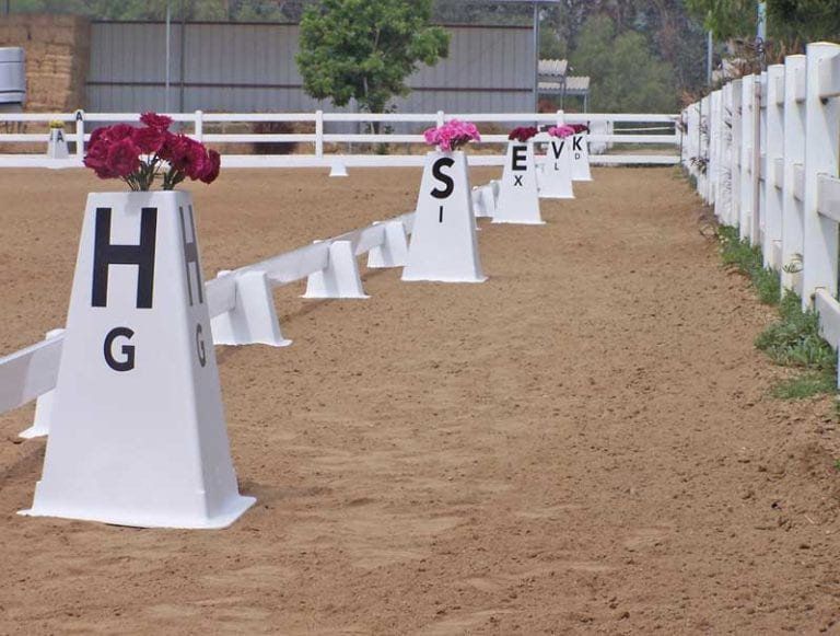 Dressage Percentage Day April 13th