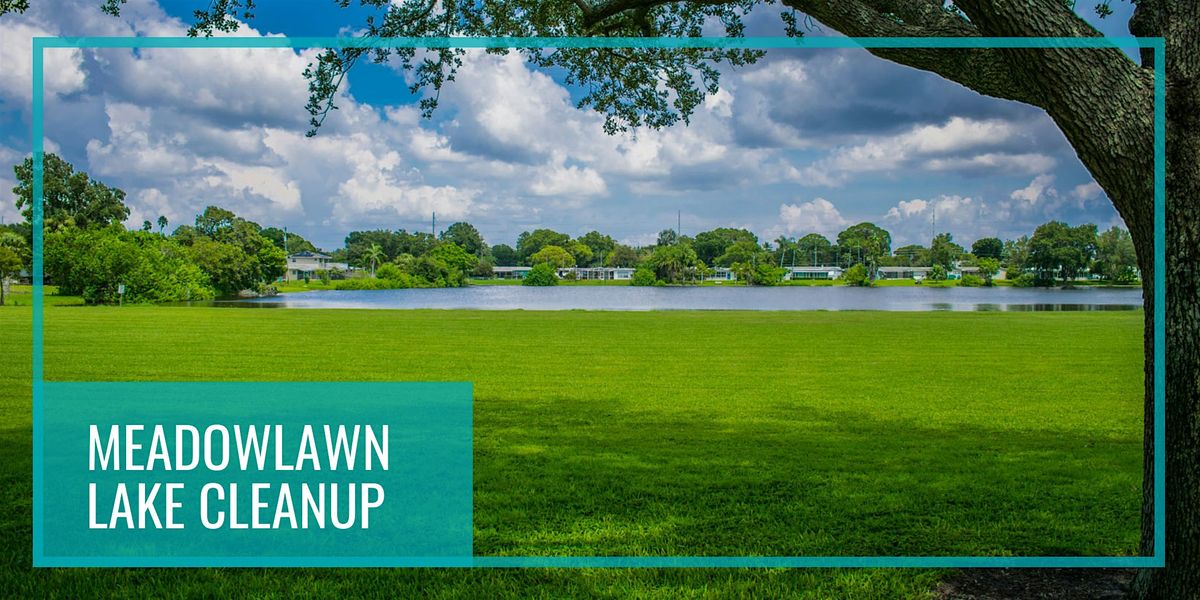 Meadowlawn Community Cleanup